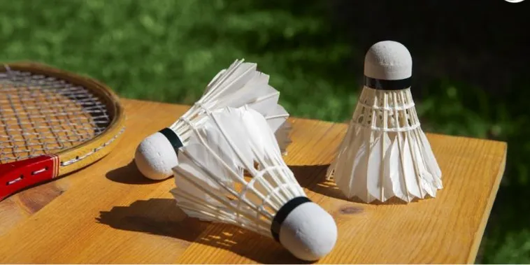 Hướng Dẫn Cá Cược Cầu Lông K9Win Từ A Đến Z Cho Người Mới