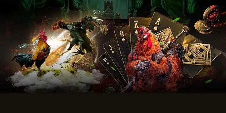 Hướng Dẫn Cách Chơi Đá Gà GA28 Tại K9Win Chuyên Nghiệp Như Cao Thủ